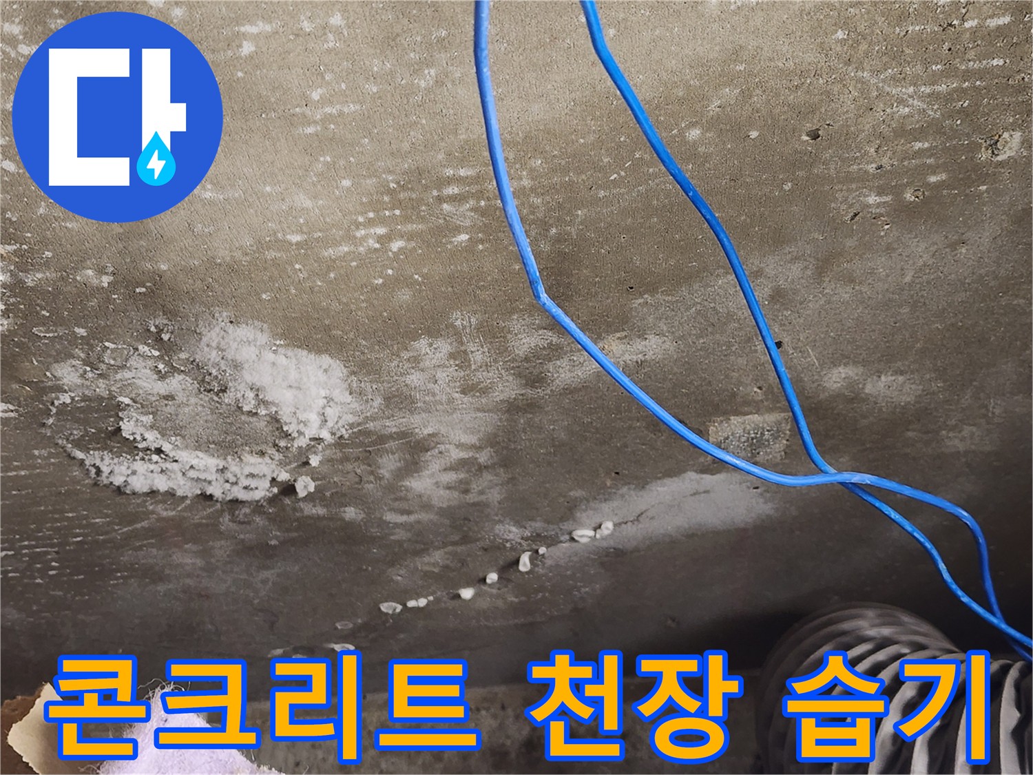 용인에서 발생한 콘크리트 천장 누수 - 습기 찬 흔적을 꼼꼼히 확인합니다.
