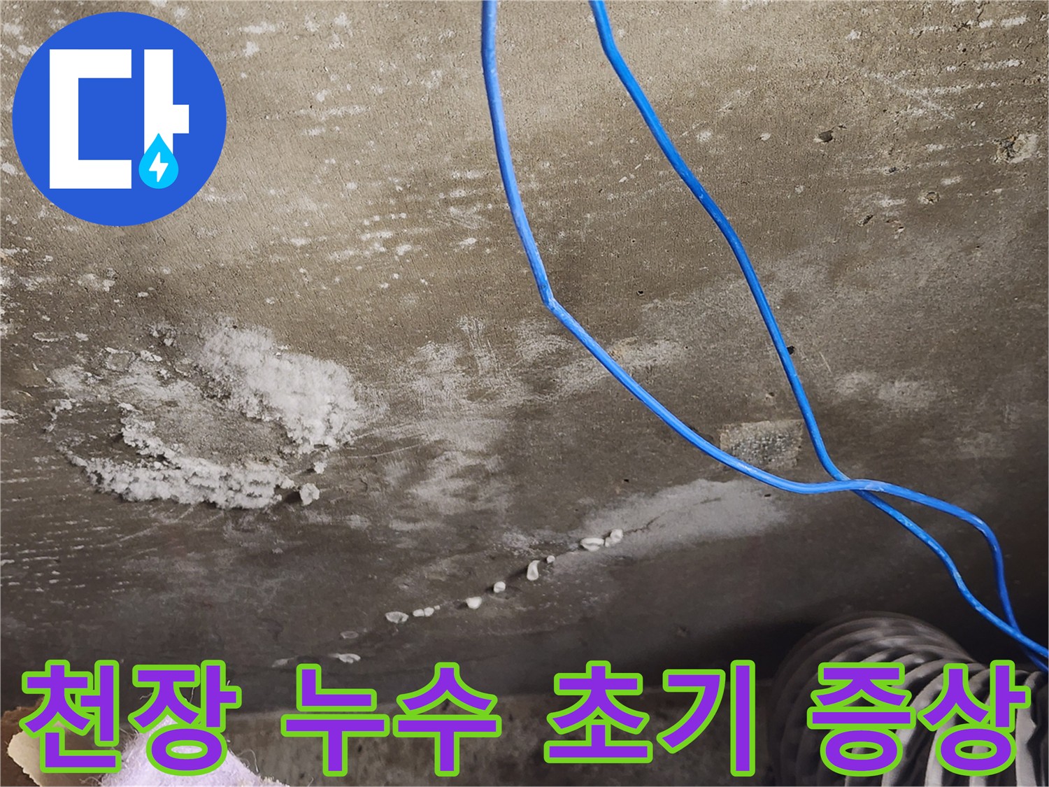 보정동 콘크리트 천장 누수 현장 - 누수 초기 증상을 꼼꼼히 확인합니다.