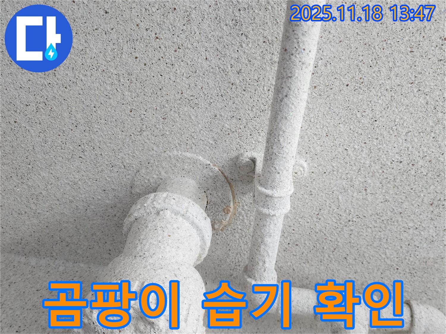 진목리 누수 - 천장 배관의 곰팡이