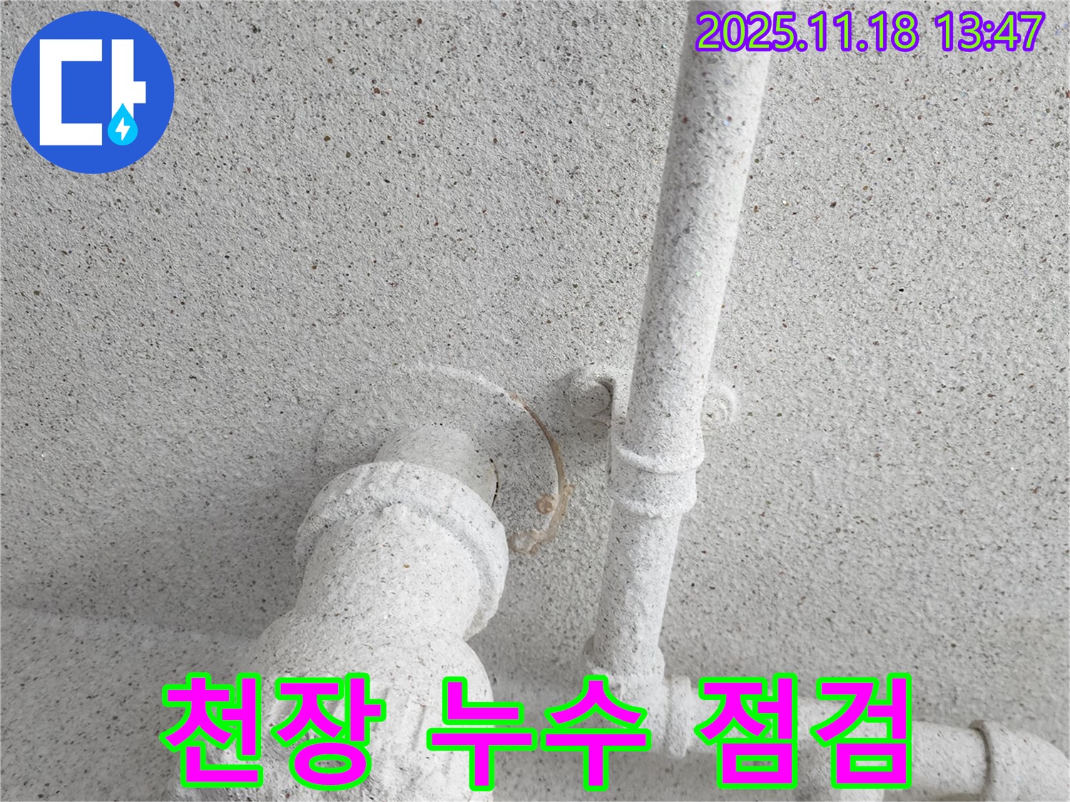 진목리 천장 누수 - 꼼꼼한 점검