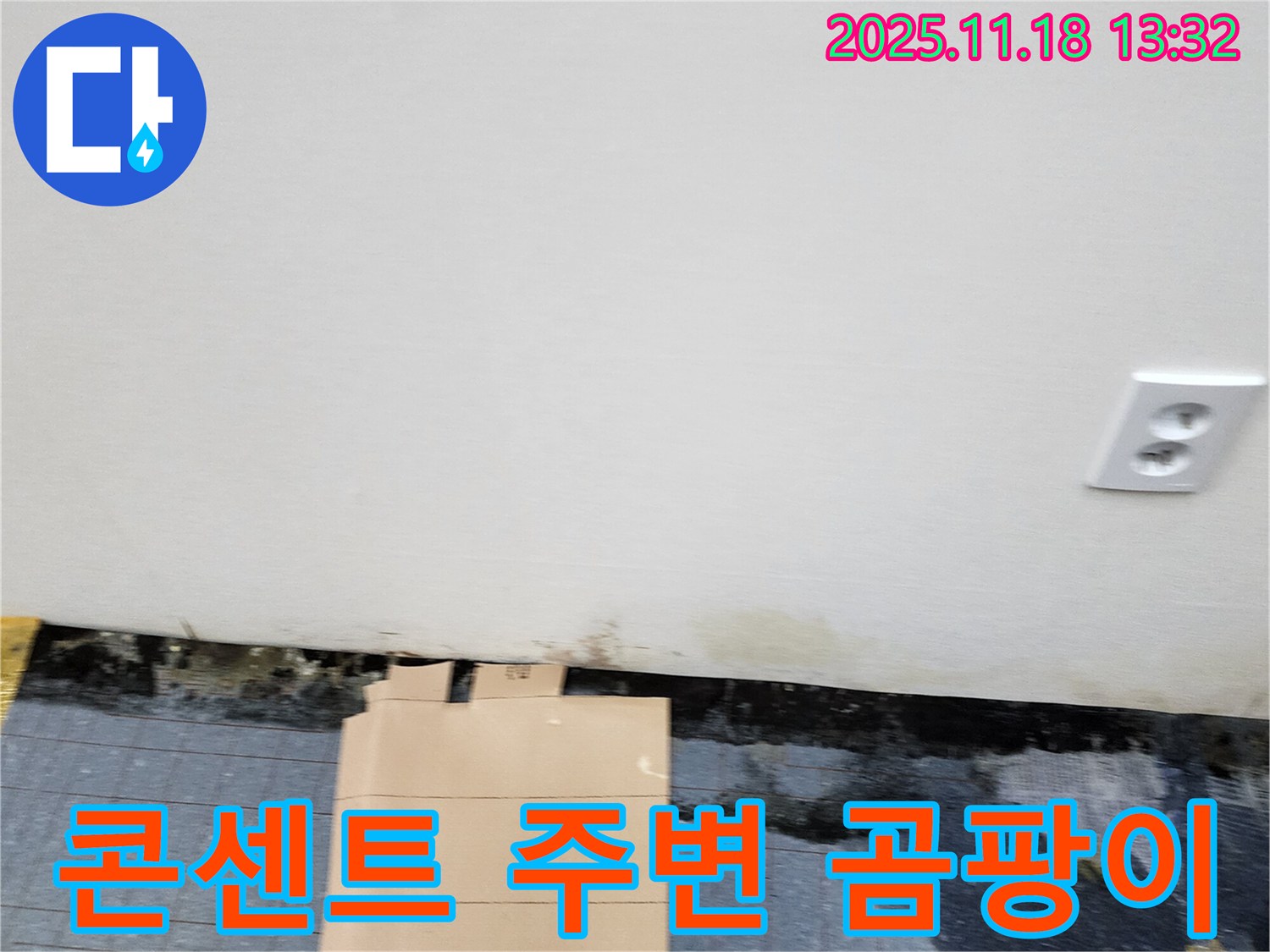 콘센트 주변 - 곰팡이 - 전기 위험