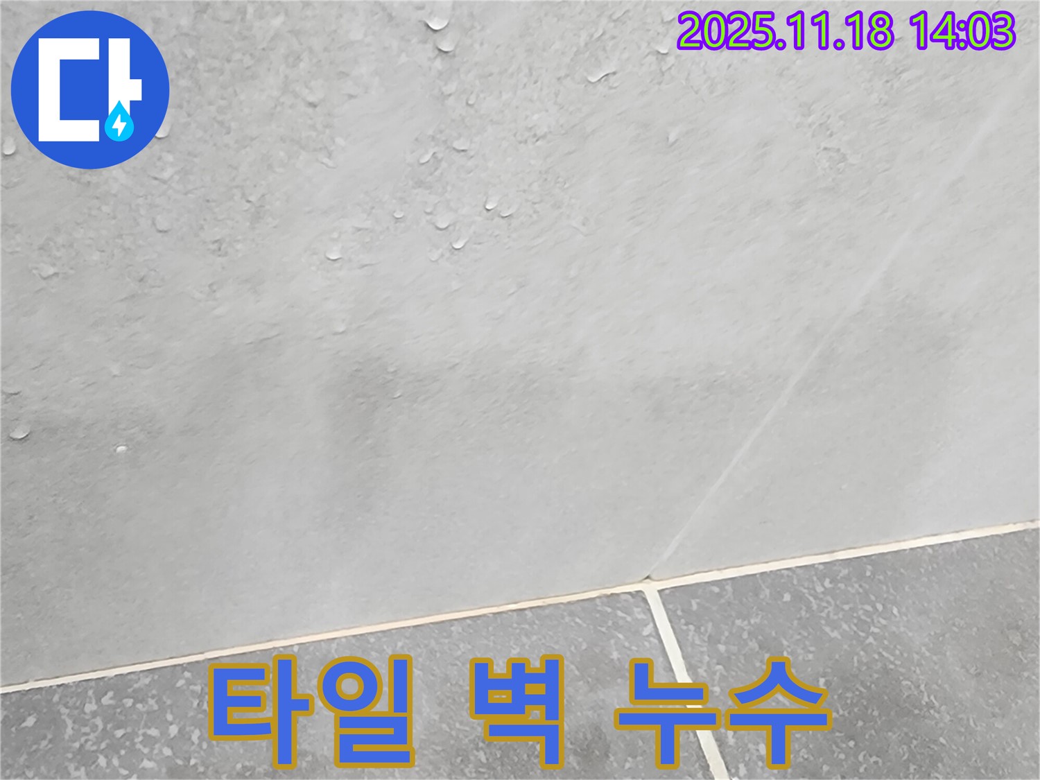 타일 벽 누수 - 고객 만족 최우선, 최고의 서비스