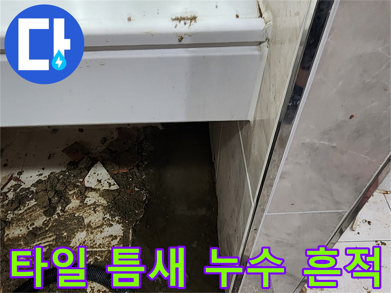 화장실-벽면-타일-사이-물고임-현장