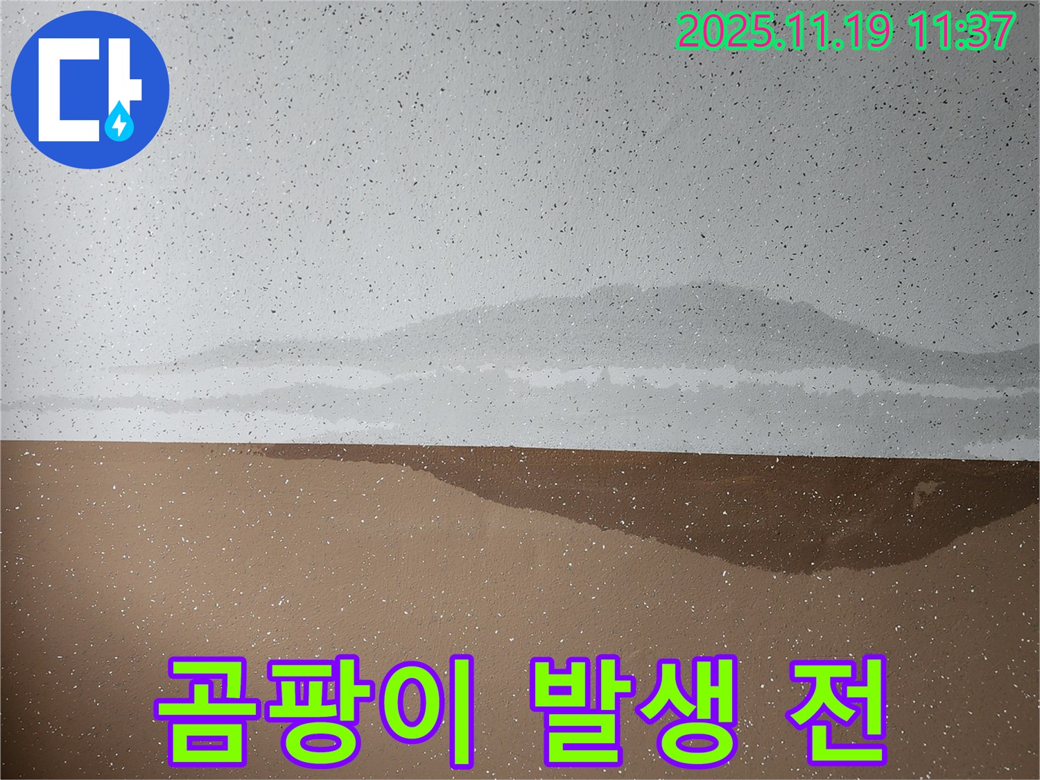 곰팡이 발생 전 - 빠른 점검 - 건강 지킴