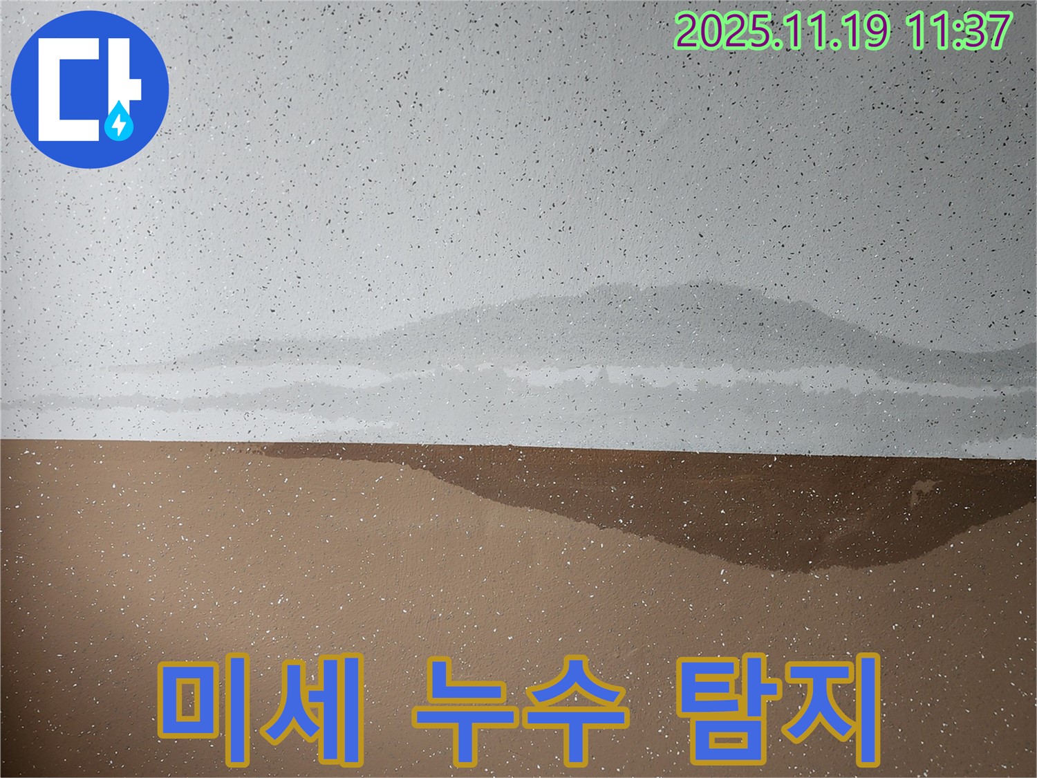 미세 누수 탐지 - 첨단 장비 - 정확한 진단