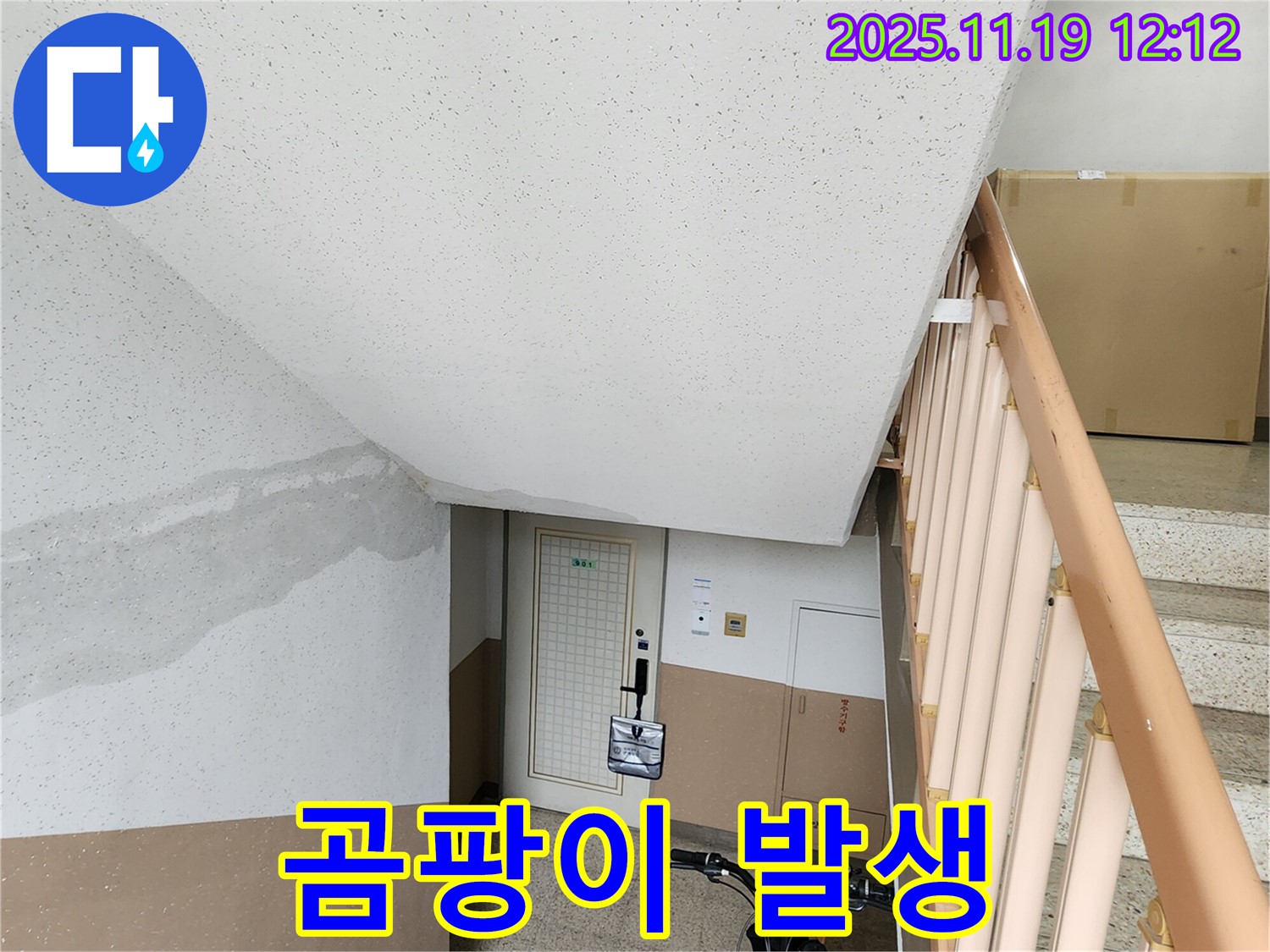 아파트 계단 벽 누수 - 곰팡이 발생 - 건강 위협