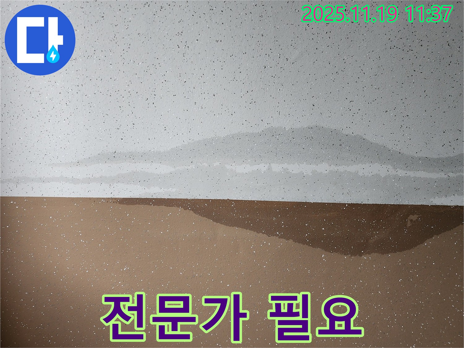 전문가 필요 - 누수 해결 - 완벽 시공