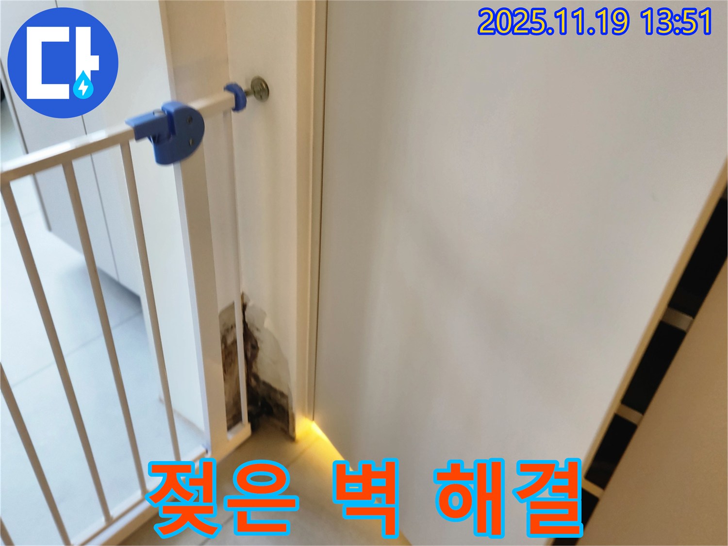 젖은 벽 누수 해결 - 곰팡이 제거