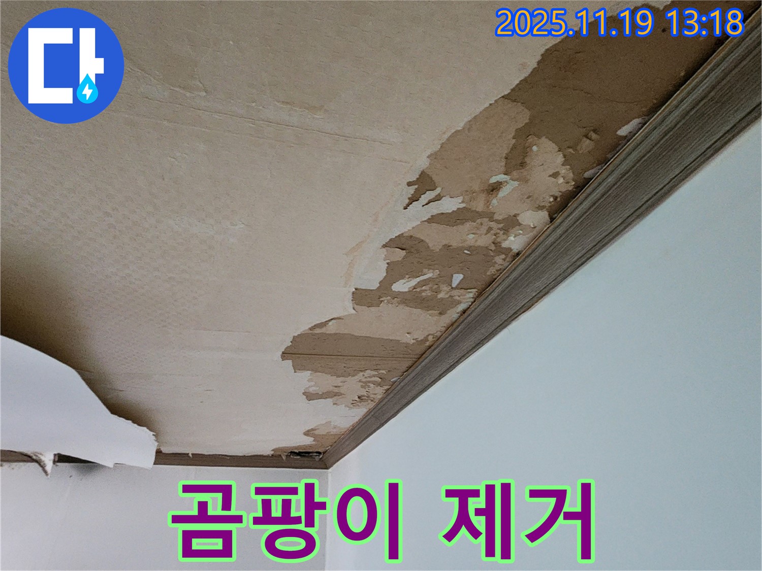 천장 곰팡이 - 천장 곰팡이, 완벽하게 제거해 드립니다.