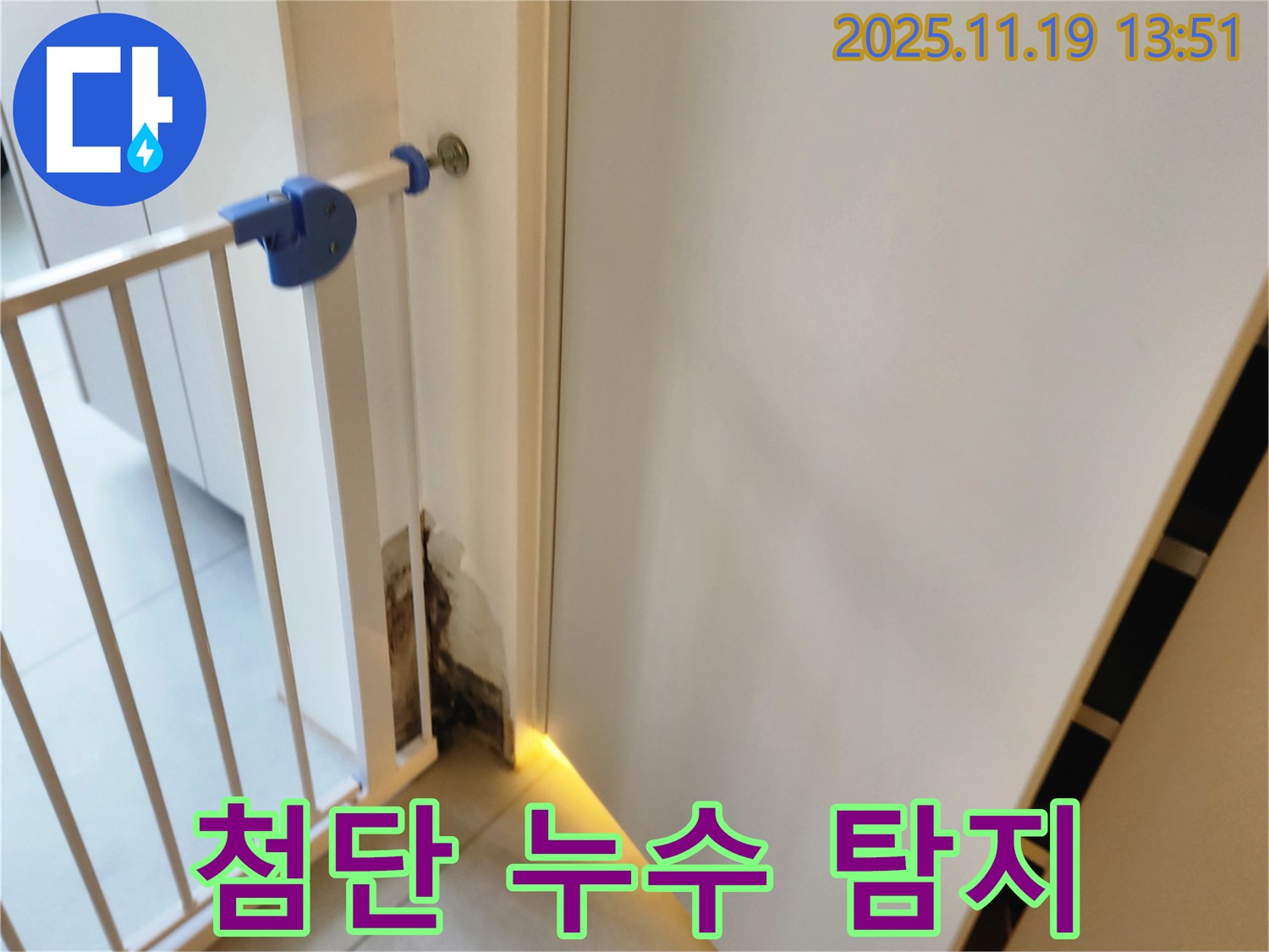 첨단 누수 탐지 장비 - 젖은 벽 누수 탐지