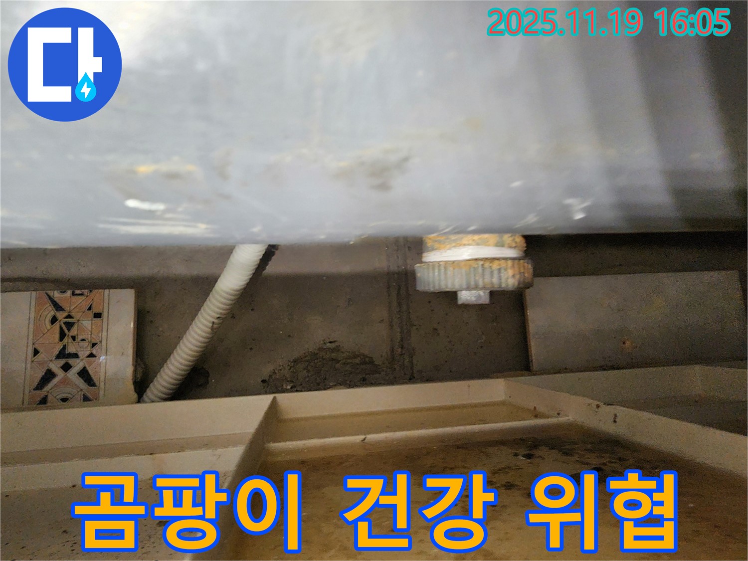 싱크대 하부 곰팡이 - 건강 위협