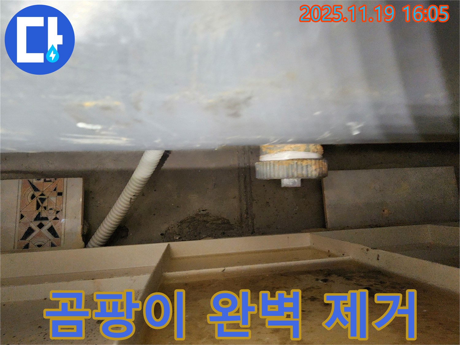 싱크대 하부 곰팡이 - 완벽하게 제거