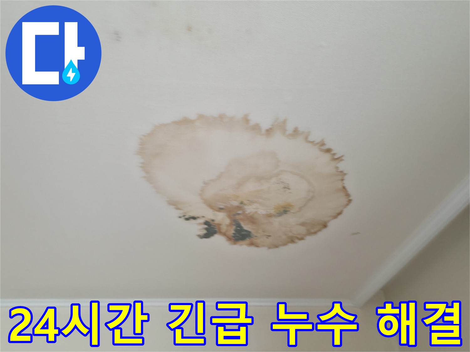 24시간 긴급 - 빠른 누수 해결 - 서대문구 누수