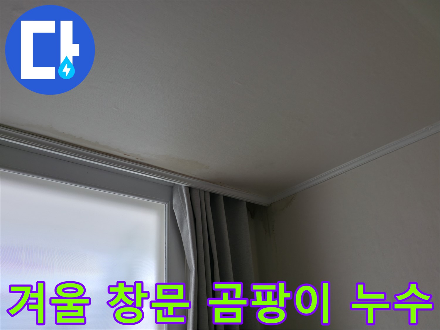 겨울철 창문 곰팡이 - 누수 해결 전문 업체