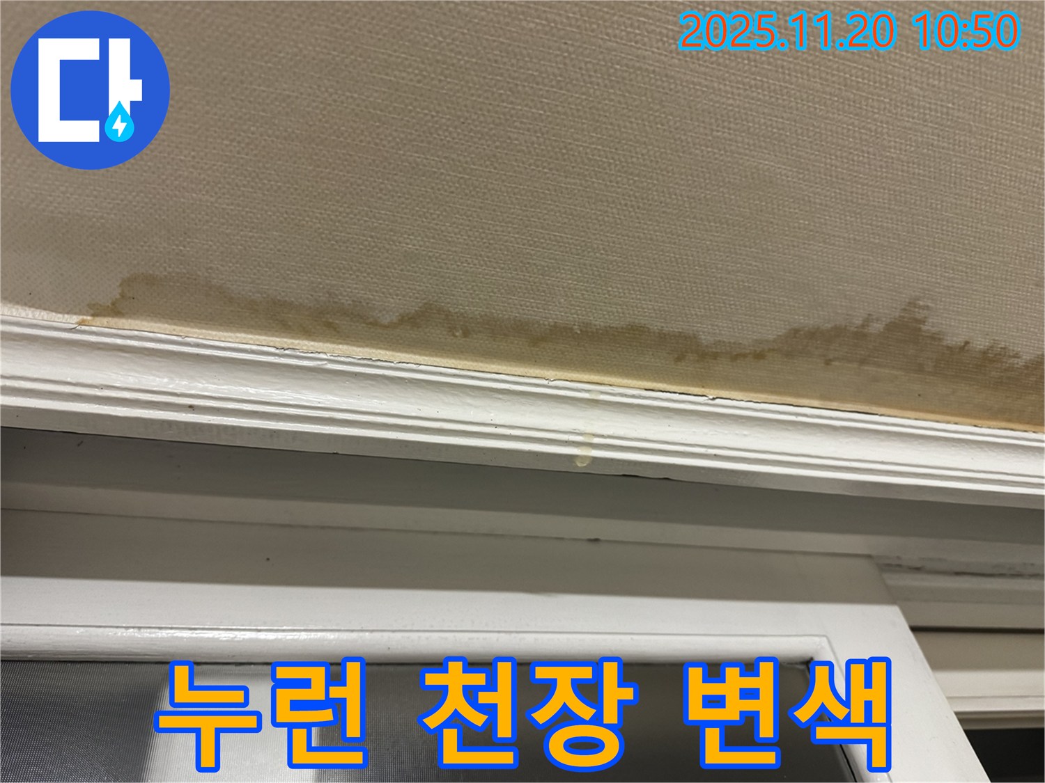 누런 변색 - 초기 누수 - 빠른 진단