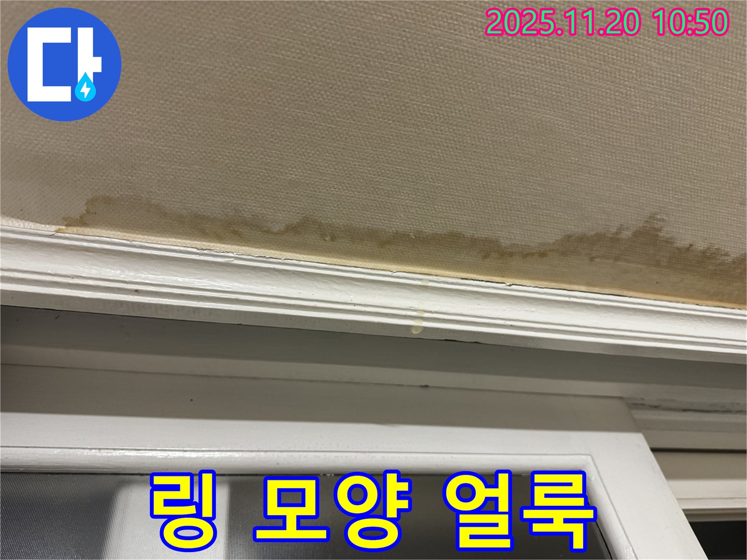 링 모양 얼룩 - 누수 확산 - 정밀 진단