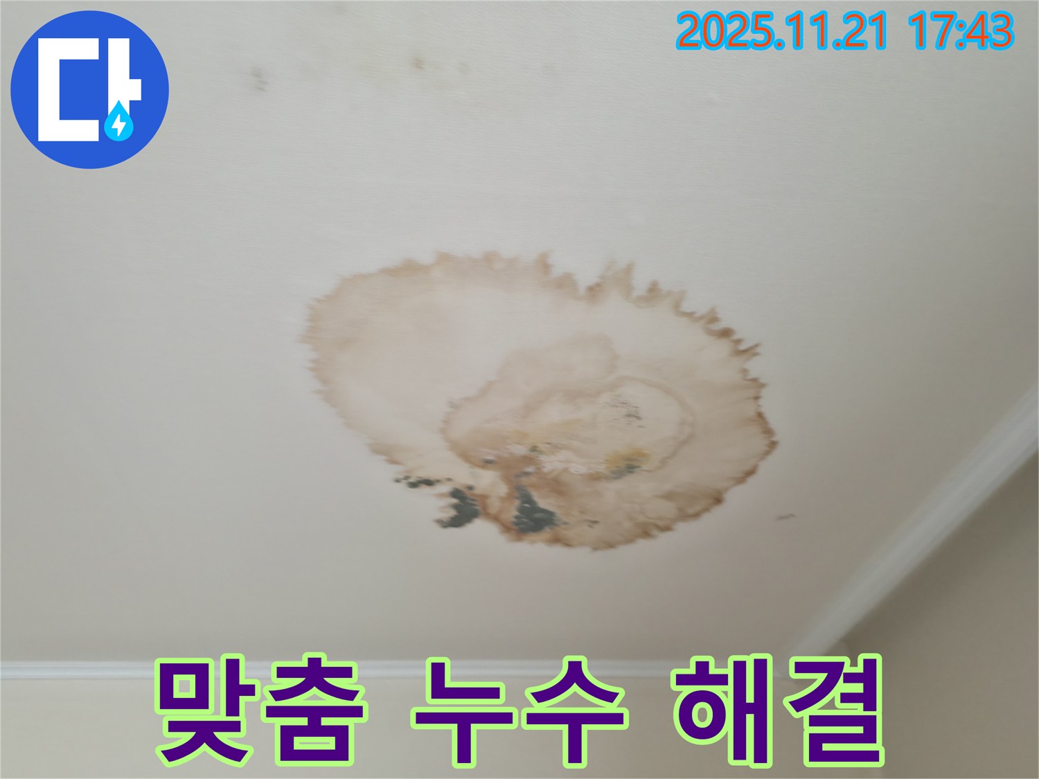 서대문구 누수 - 맞춤 해결 - 주민 서비스