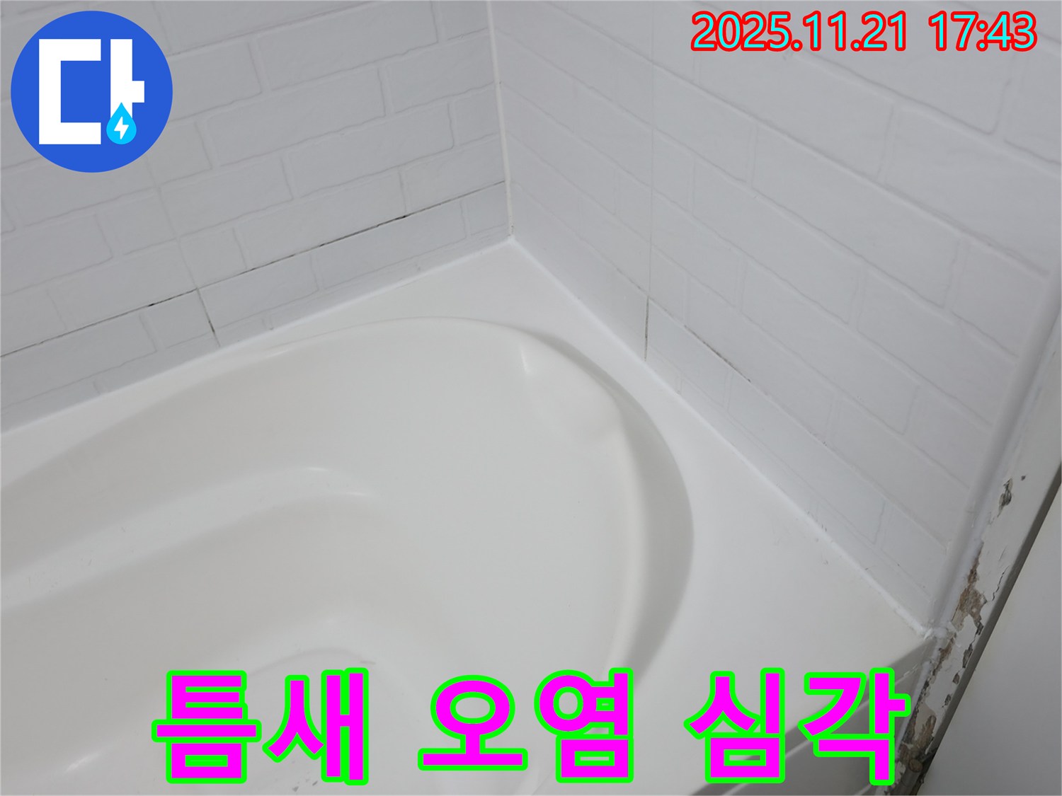 서대문구 세검정 - 욕조 타일 틈새 오염 심각