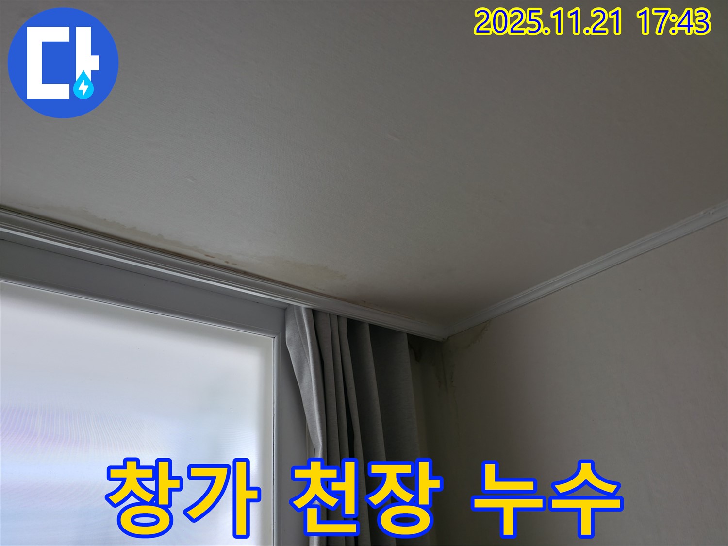 서대문구 창가 천장 누수 - 곰팡이 발생 전 - 초기 조치