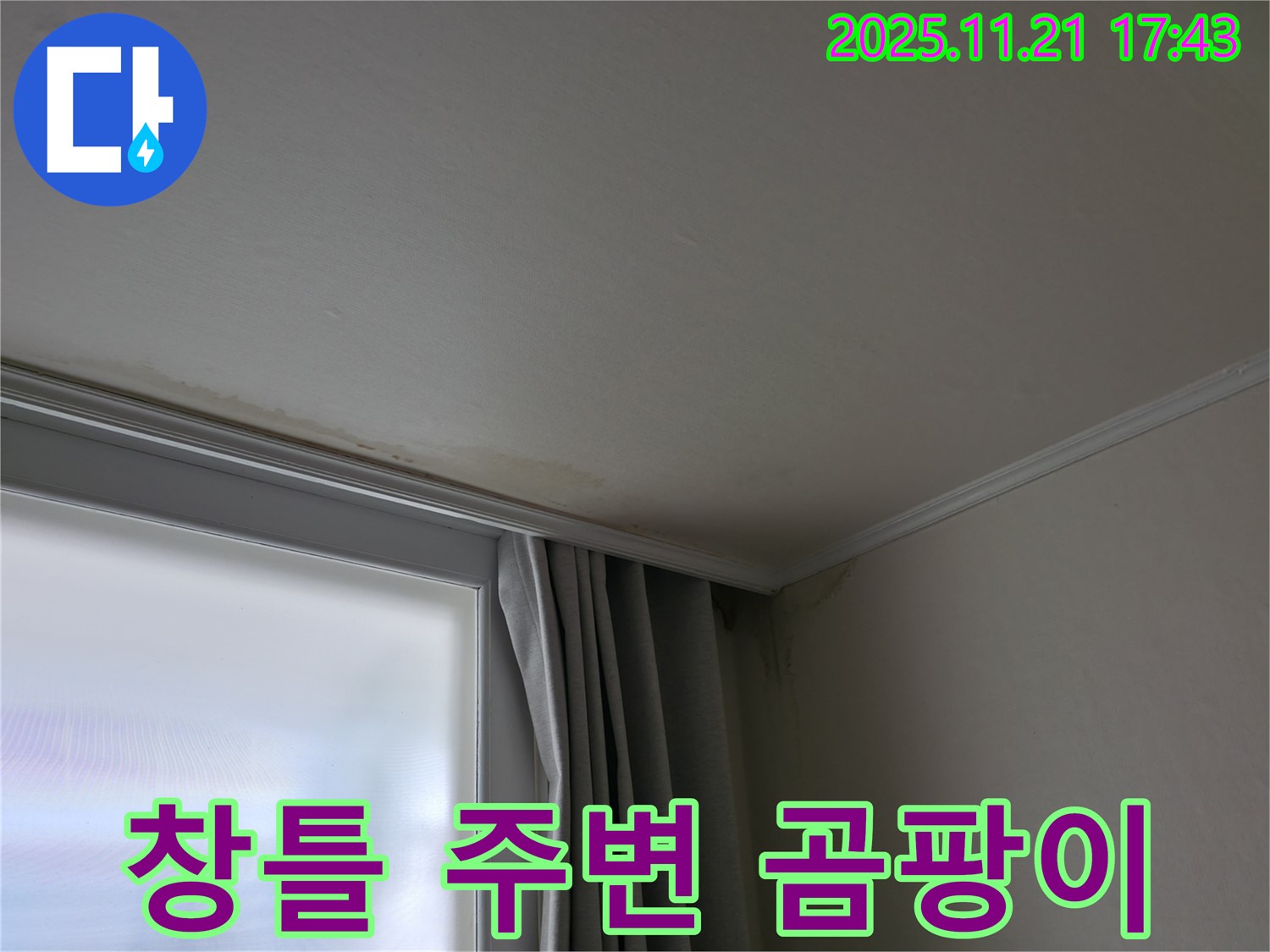 서대문구 창틀 누수 - 곰팡이 - 긴급 해결 필요