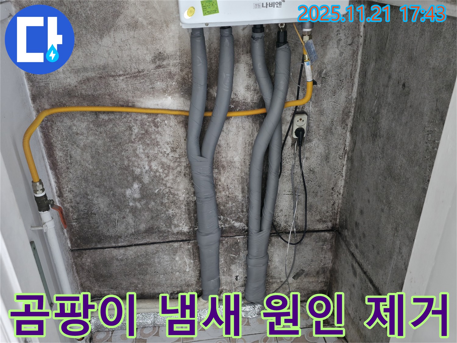 세검정 곰팡이 냄새 - 서대문구 쾌적한 실내 환경