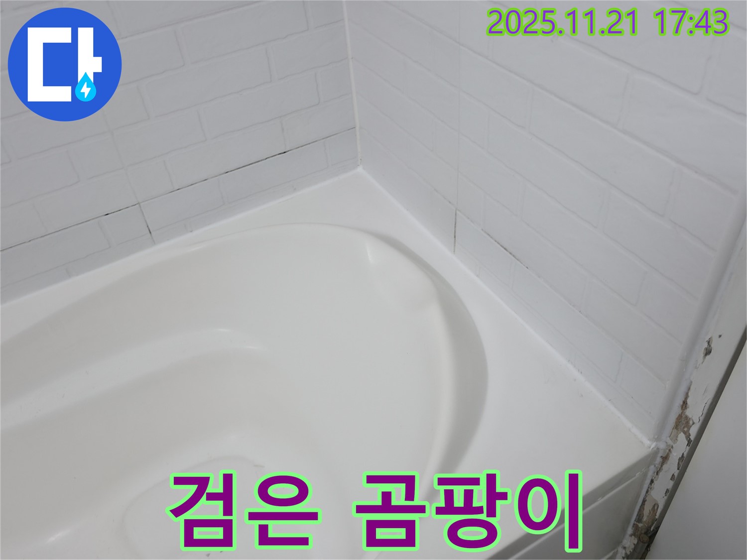 세검정 욕조 누수 - 타일 틈새 검은 곰팡이 발견
