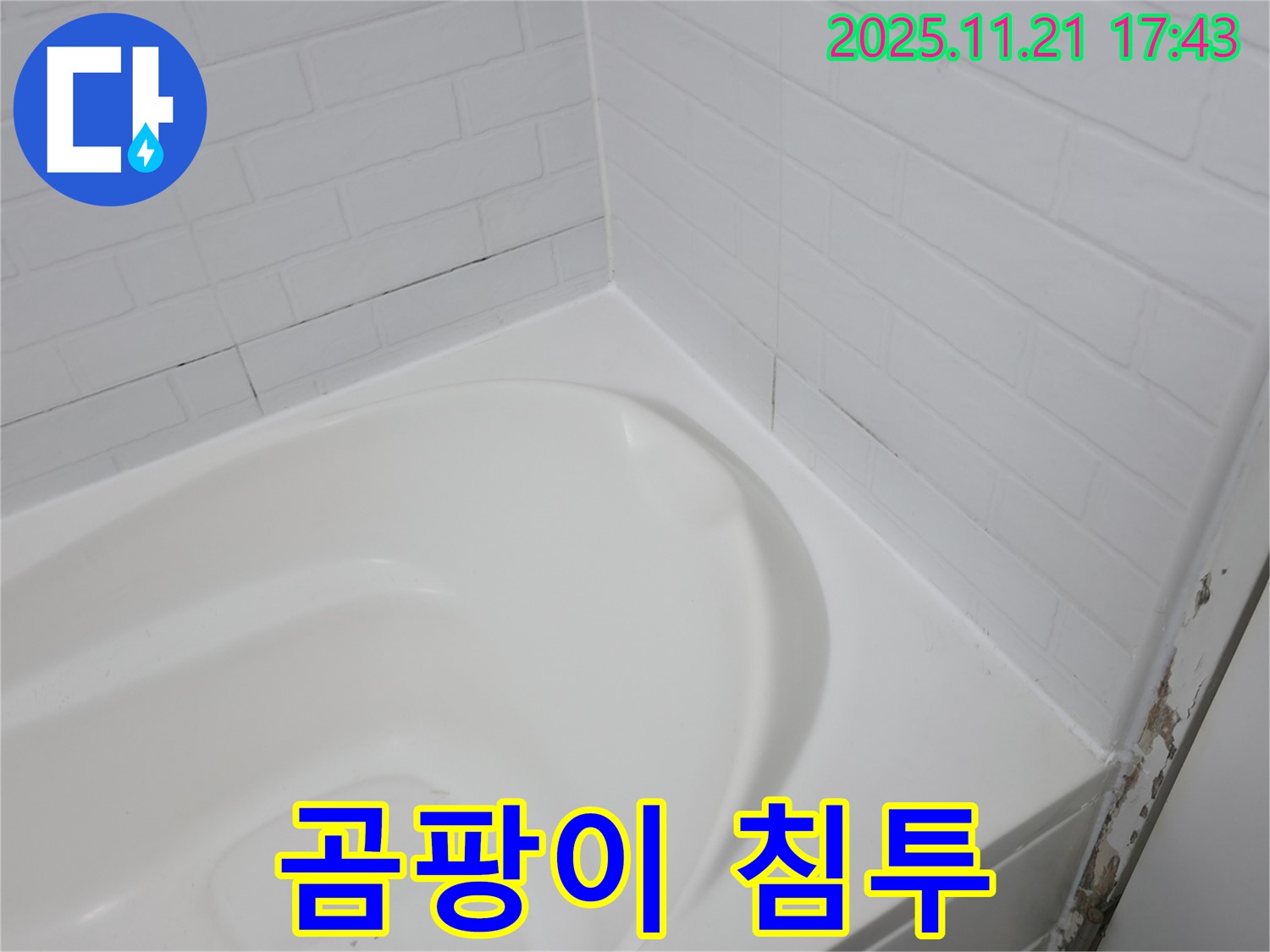 세검정 욕조 실리콘 - 곰팡이 침투로 누수 우려