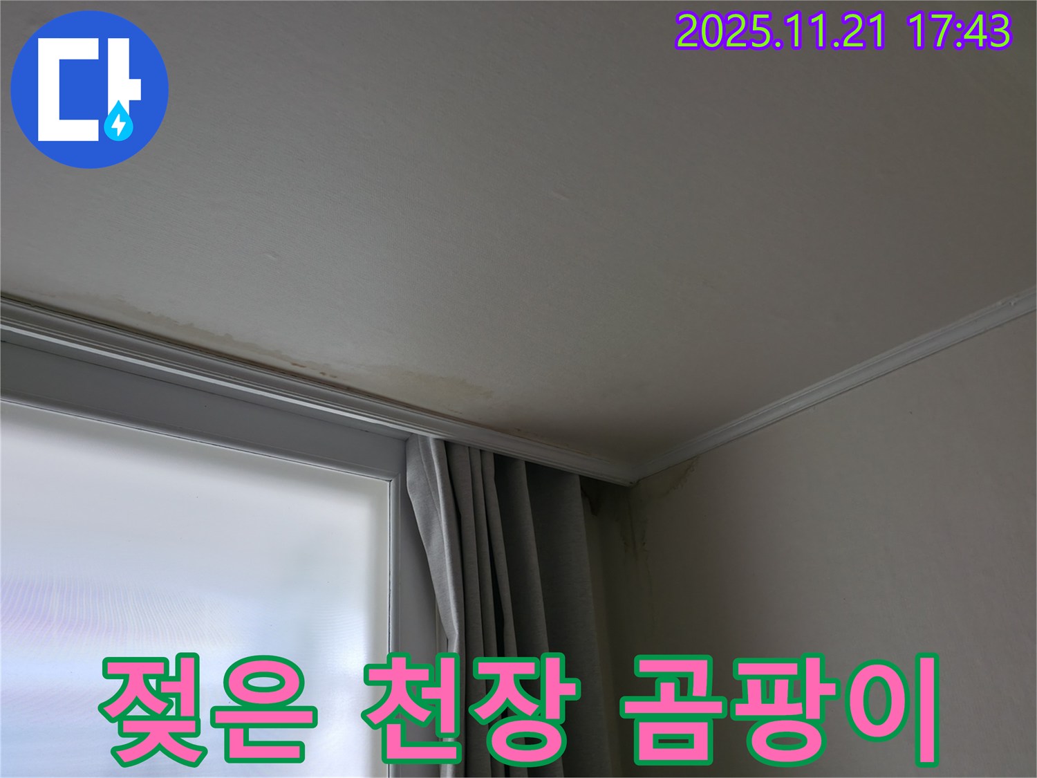 세검정 젖은 천장 - 곰팡이 발생 가능성 높음 - 즉시 해결