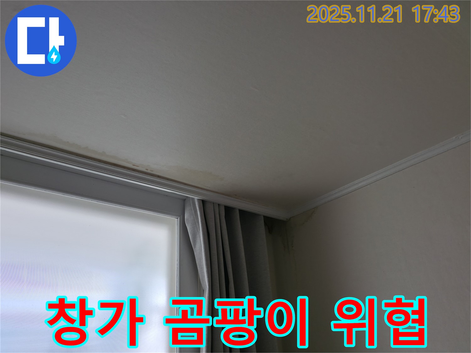 세검정 창가 누수 - 곰팡이 - 건강 위협