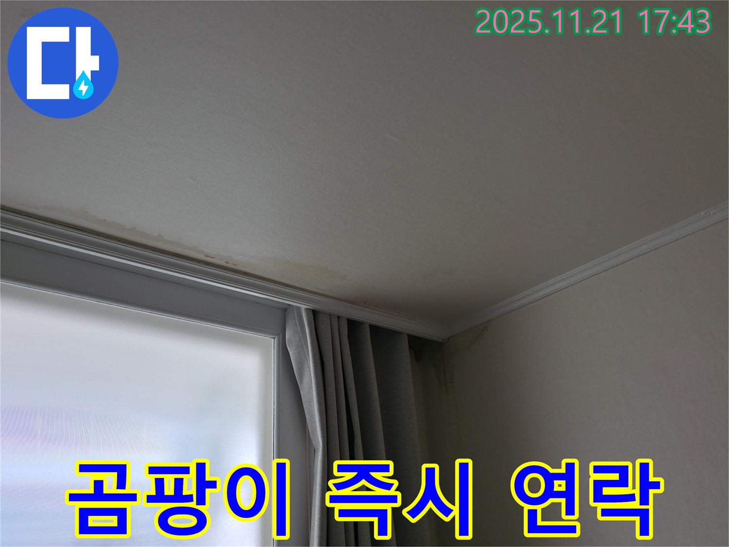 세검정 창가 누수 - 곰팡이 - 즉시 연락