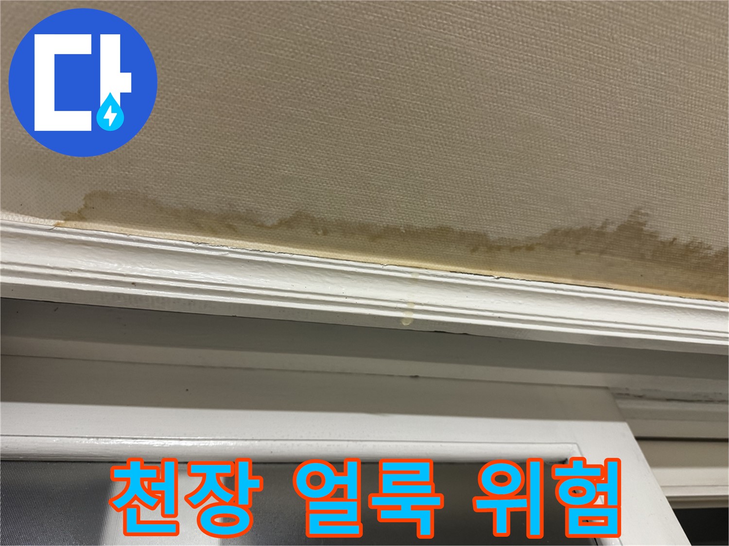 심각한 천장 얼룩 - 누수의 심각성을 경고합니다.