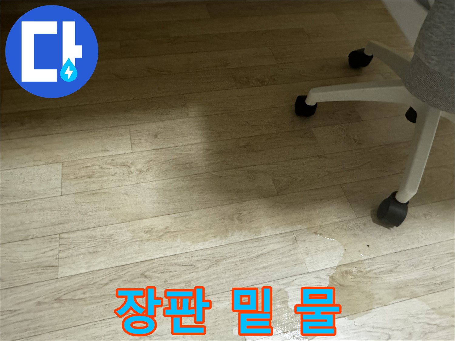 장판 밑에 물이 고여 있는 모습 - 곰팡이 발생 위험이 높습니다.