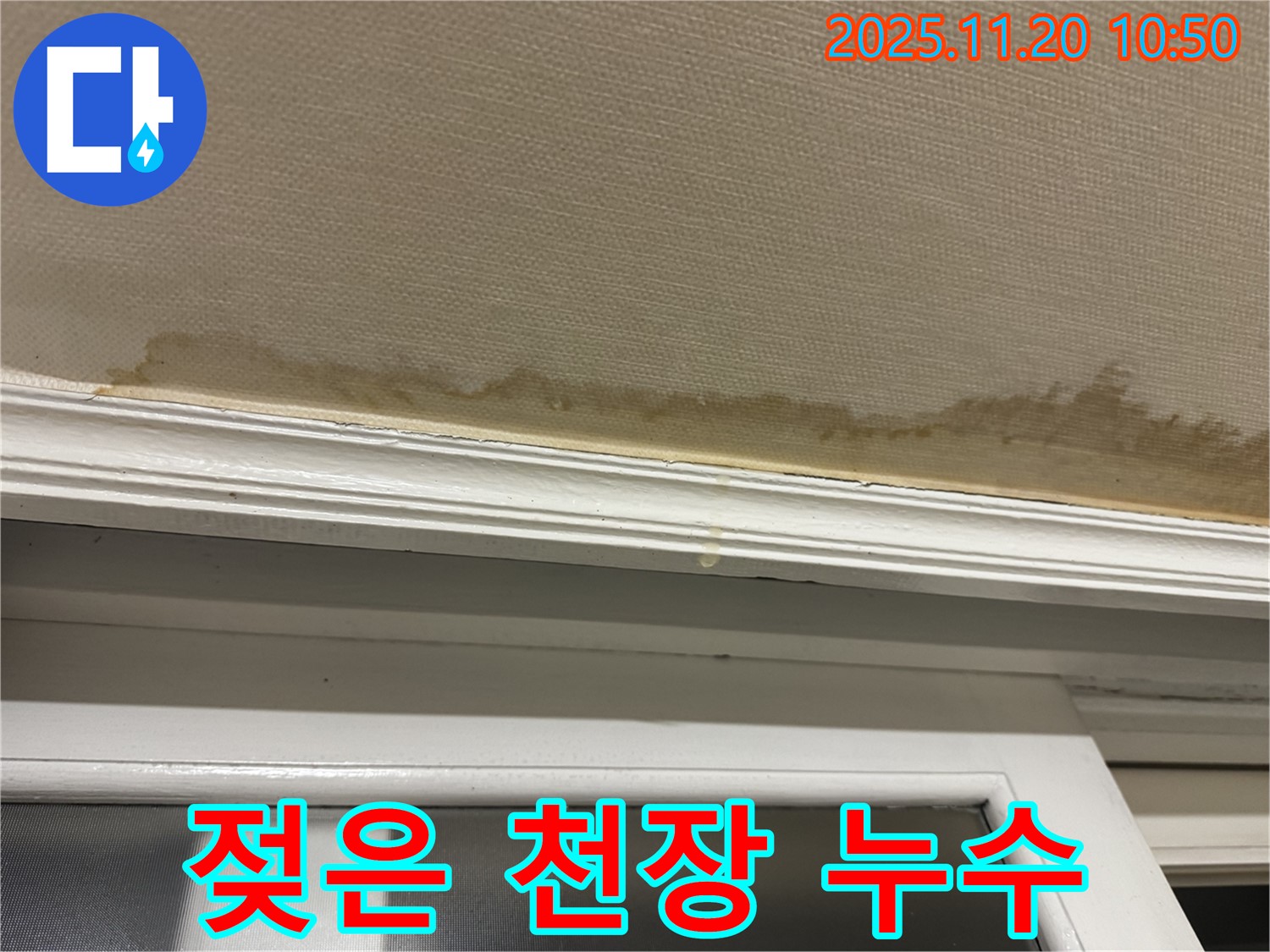 젖은 천장 - 누수 흔적 - 물방울