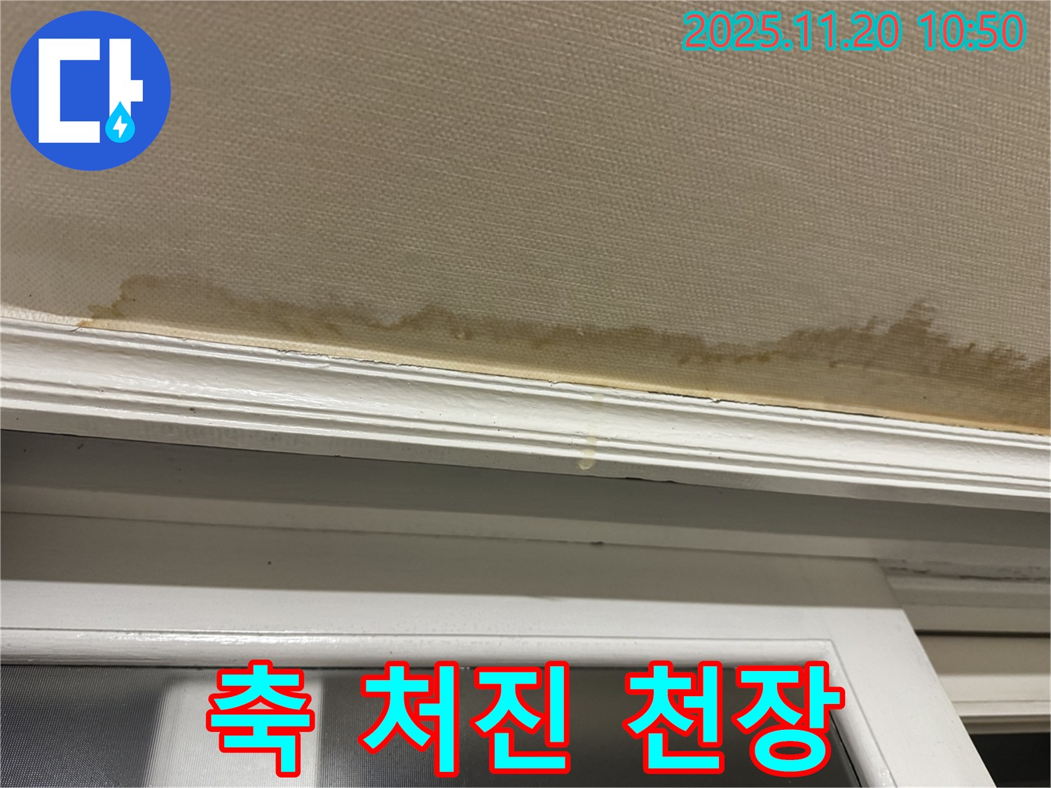 젖은 천장 - 축 처짐 - 긴급 점검 필요