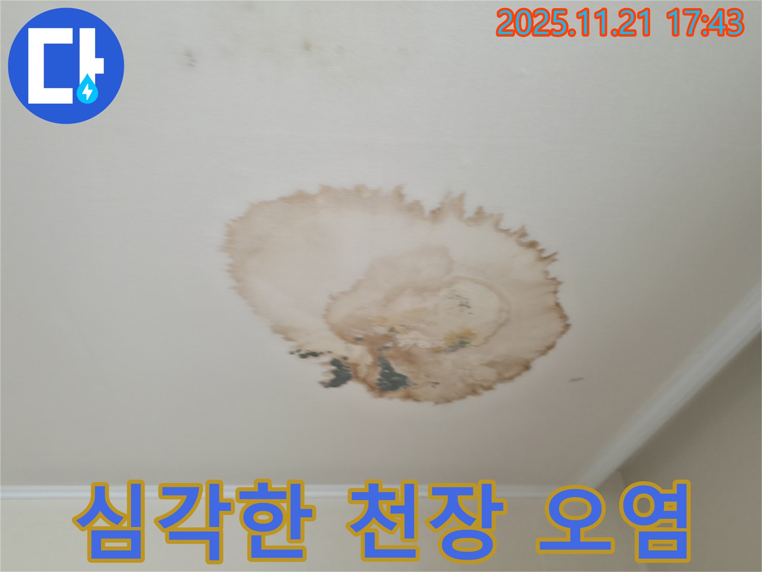 주택 누수 - 천장 오염 심각 - 전문가 필요