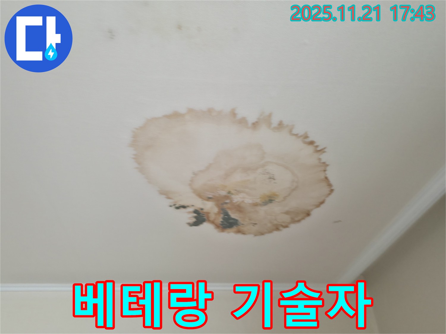 천장 누수 - 베테랑 기술 - 꼼꼼한 해결