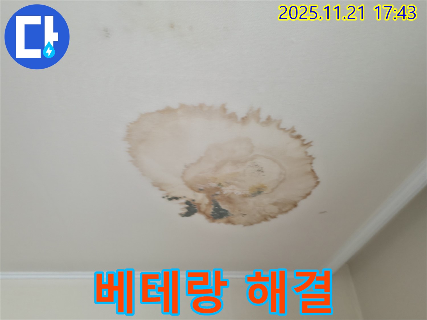 천장 누수 - 베테랑 기술 - 완벽 해결
