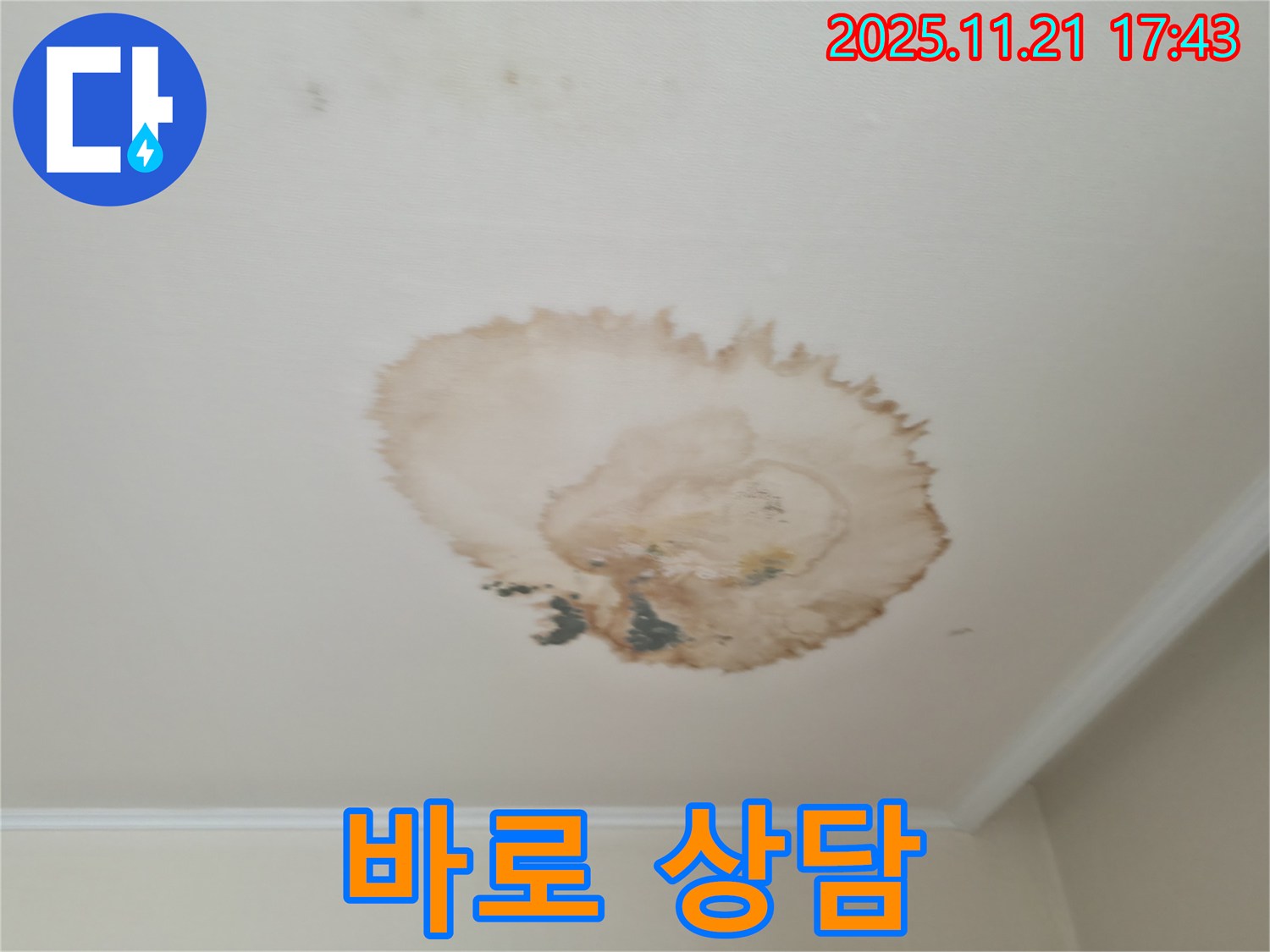 천장 누수 - 즉시 상담 - 빠른 해결