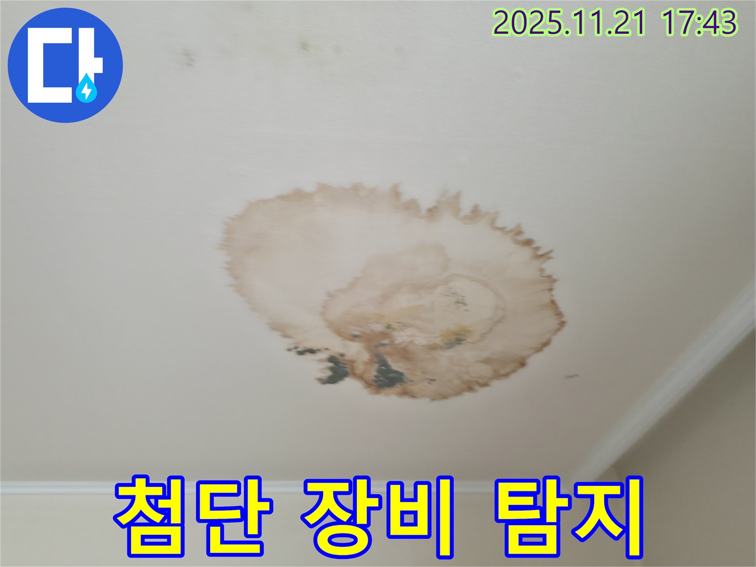 천장 누수 - 첨단 장비 - 정확한 탐지