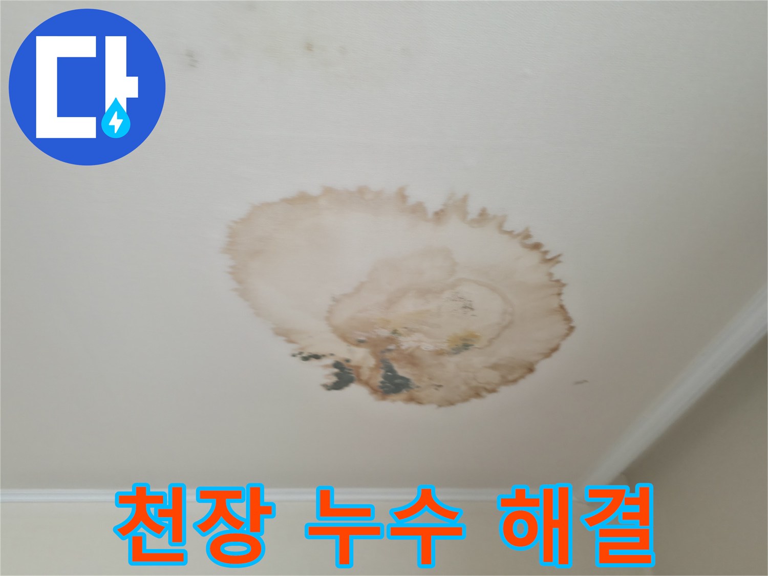 천장 누수 해결 - 누수 흔적 제거 - 깨끗하고 안전한 공간