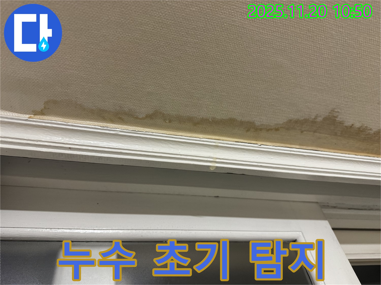 초기 누수 - 미세한 젖음 - 빠른 진단