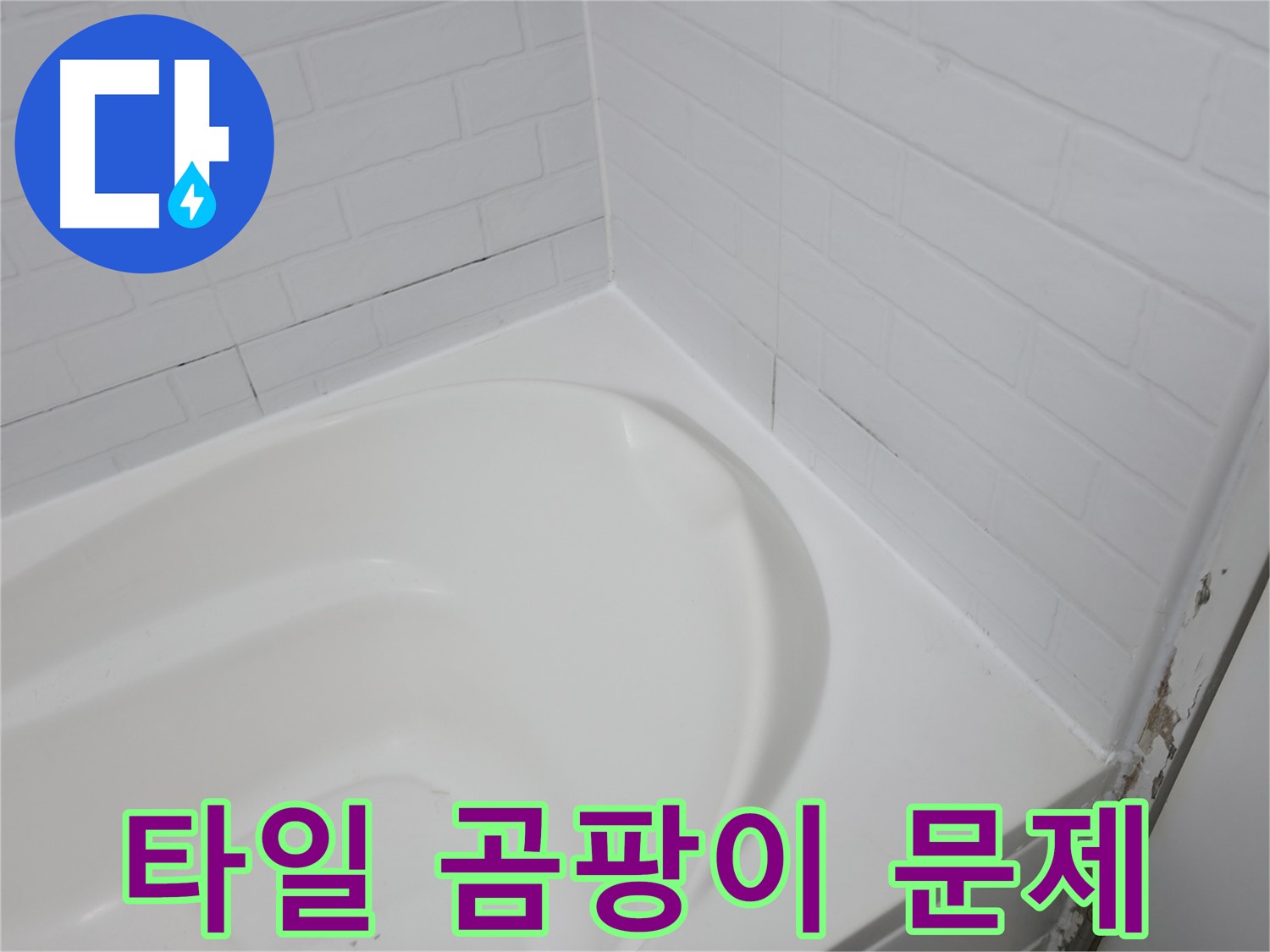 타일 곰팡이 - 습기와 누수의 합작품입니다.