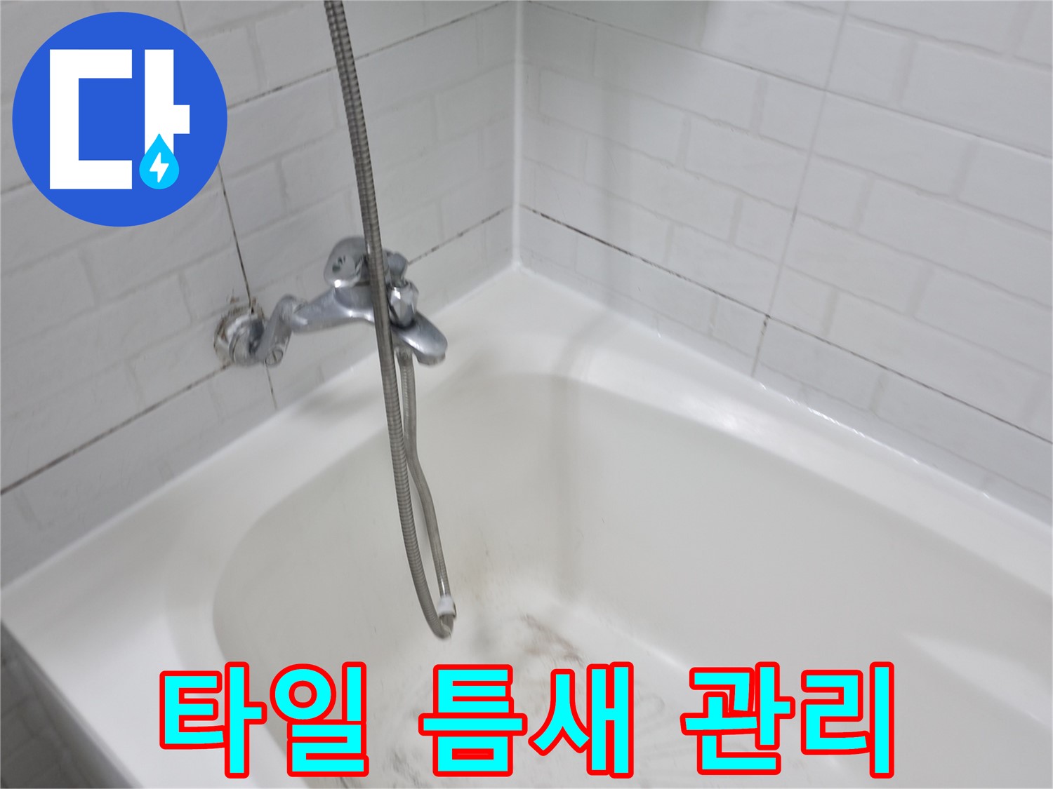 타일 틈새 관리 꿀팁 - 곰팡이 방지