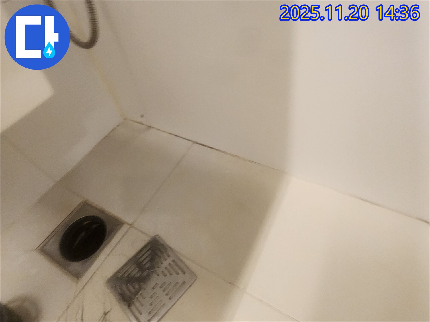 타일 틈새 곰팡이 제거 후 곰팡이 방지 코팅 - 곰팡이 걱정 이제 그만!