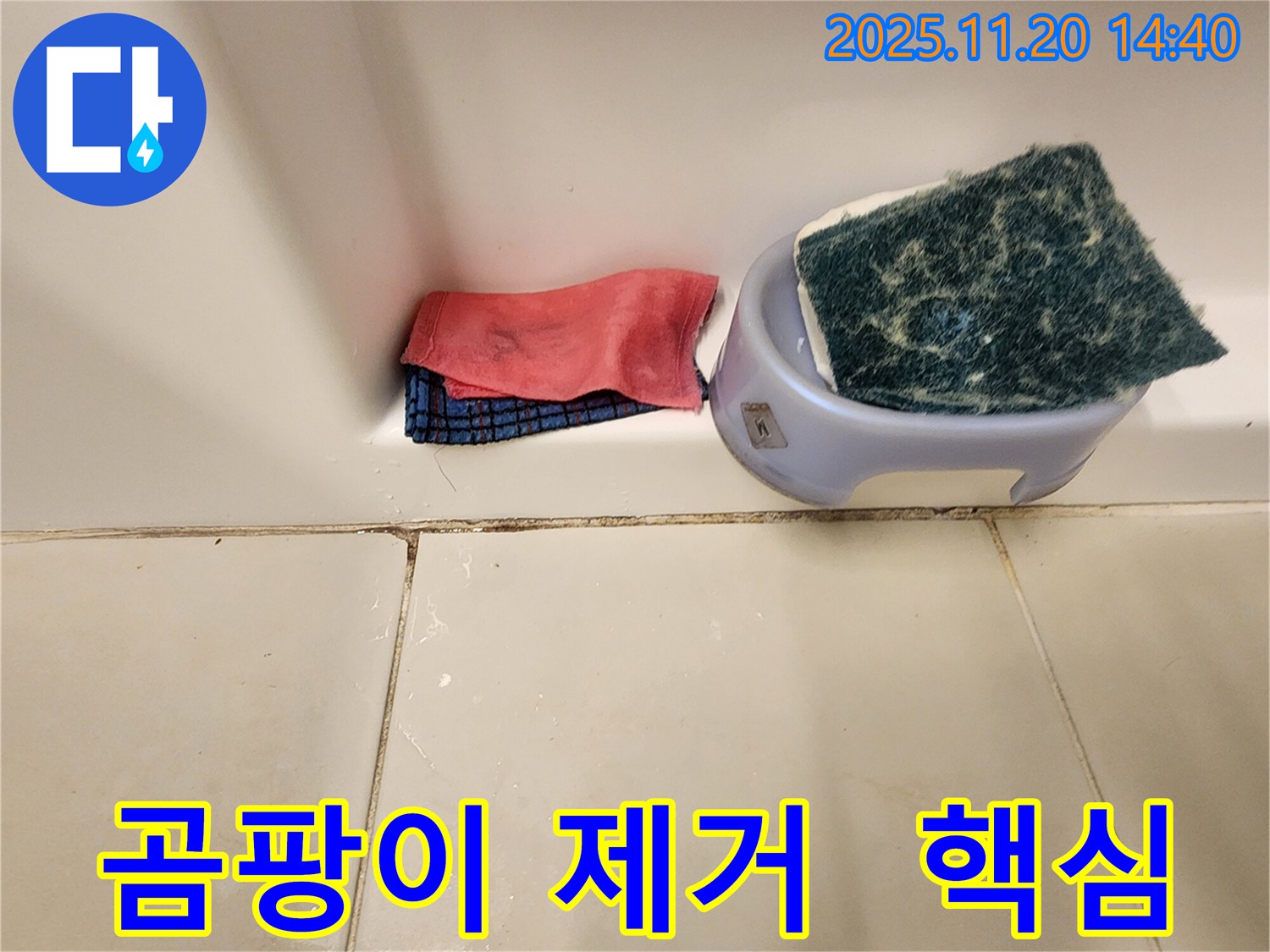 곰팡이 제거 - 가장 중요한 것은 무엇일까요?