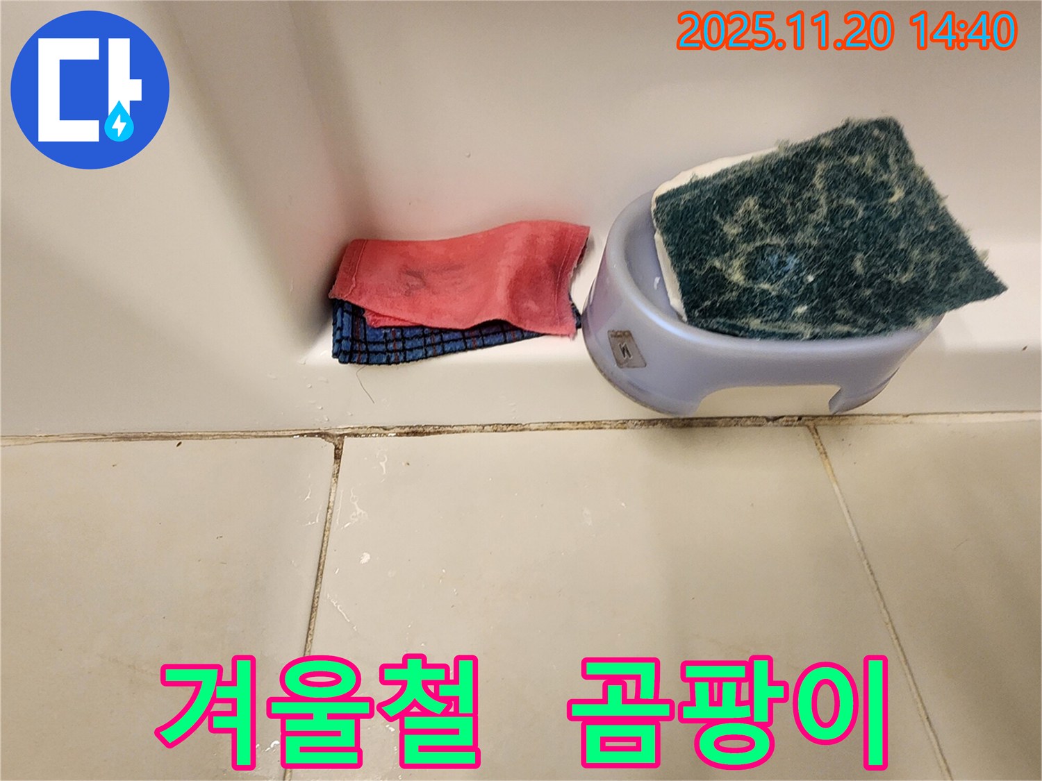 곰팡이 제거 - 겨울철에도 생길 수 있나요?