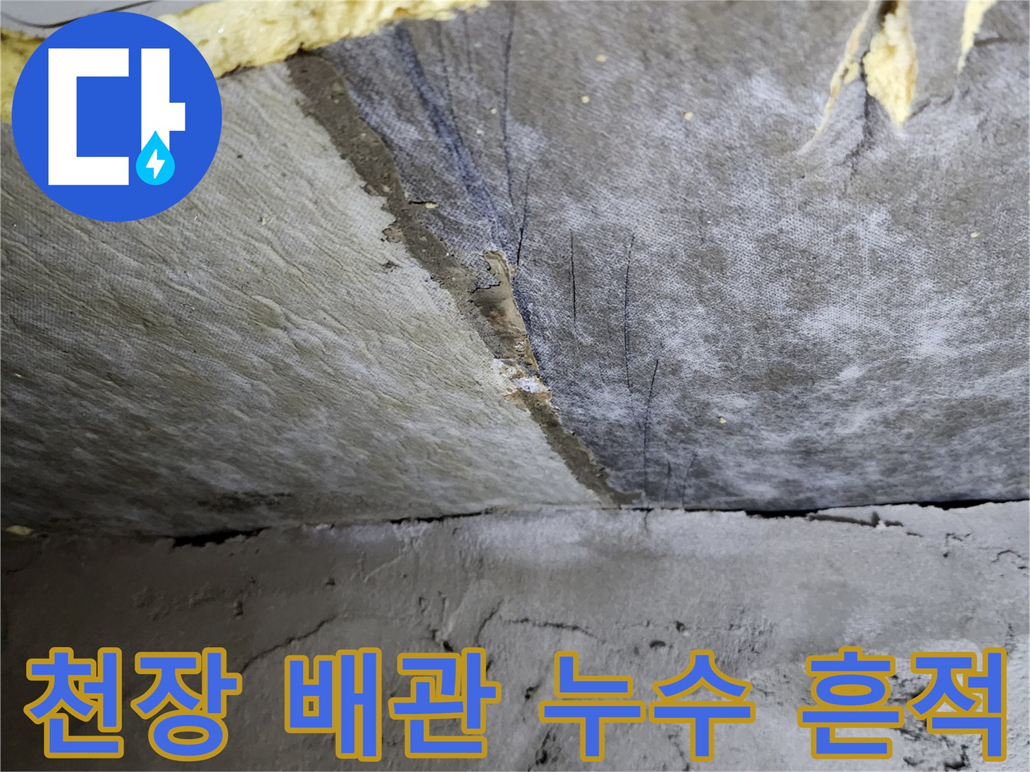 물샘 현상이 나타난-배수 파이프 주변의 슬라브