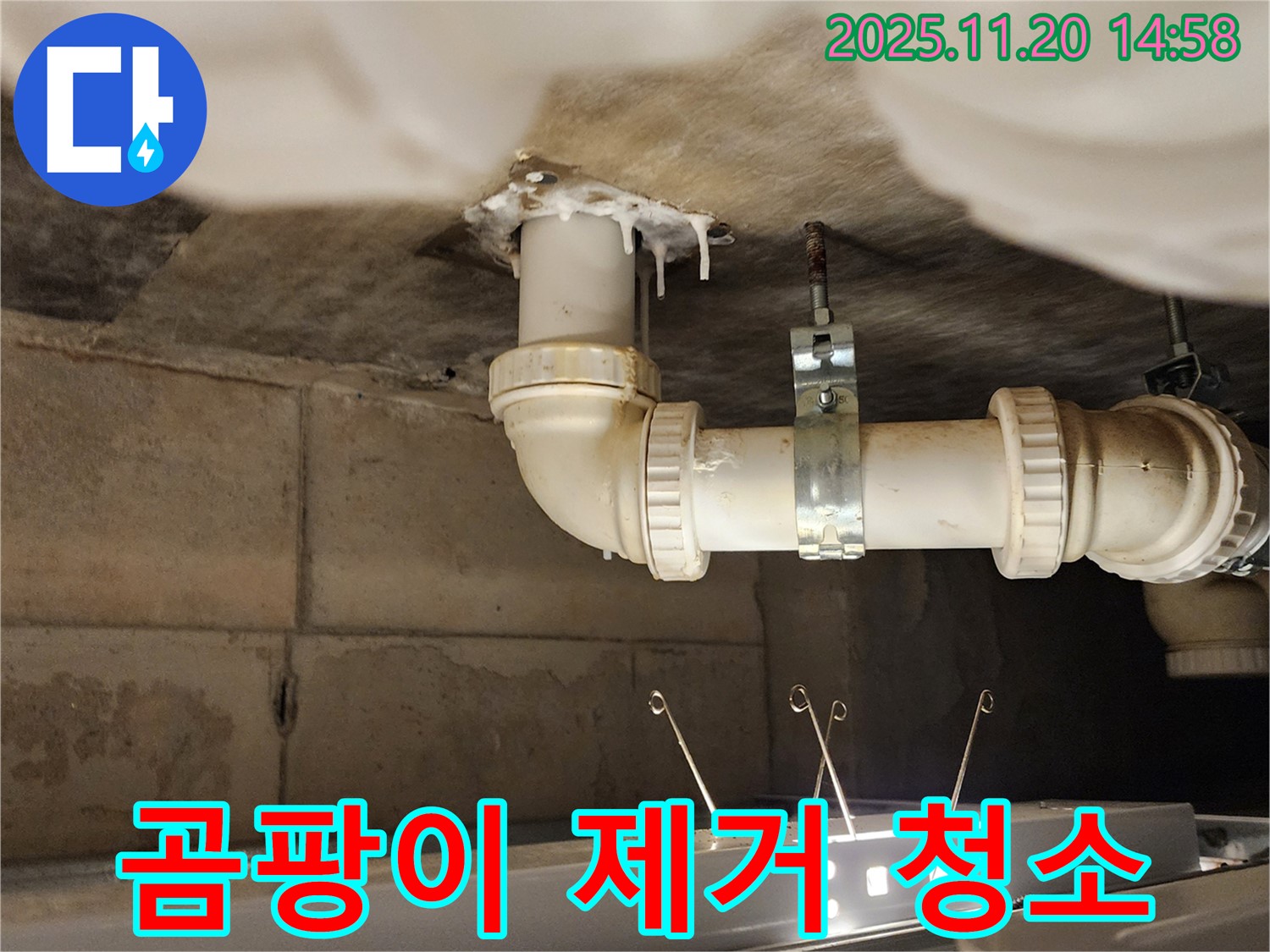 세면대 하부 곰팡이 - 누수 잡고 깨끗하게 청소!