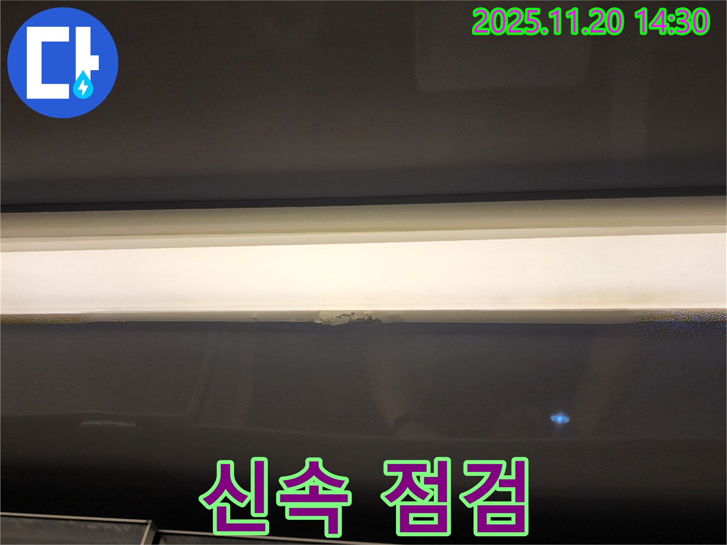 신속 점검 - 정확한 진단
