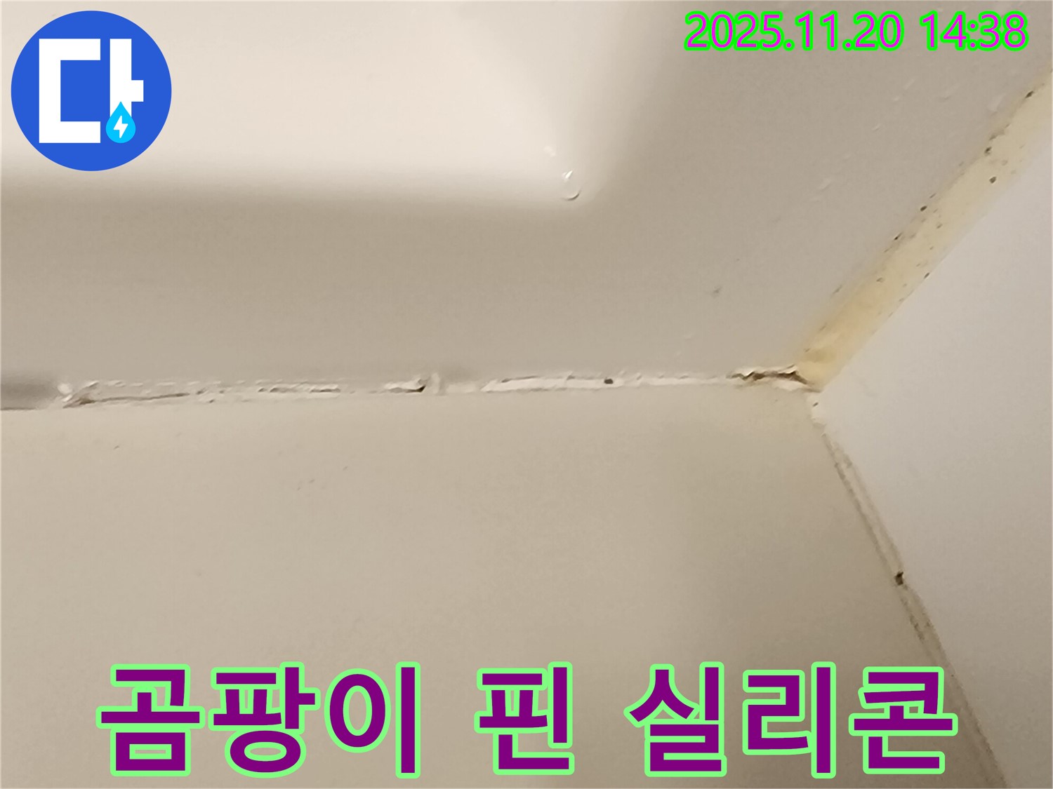 욕실 곰팡이 - 누수의 신호탄